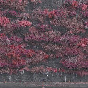 Portada de Álbum "Even In Arcadia", de Sleep Token