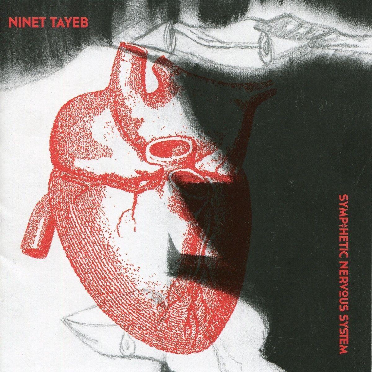 Capa do Álbum "Sympathetic Nervous System ", de Ninet Tayeb