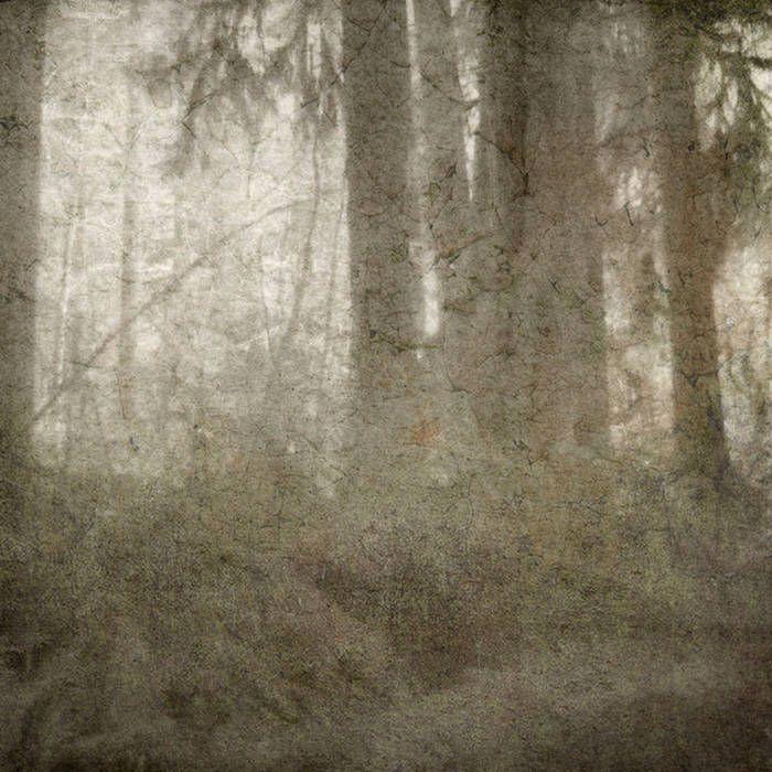 Portada de Álbum "From Mount Eerie", de Your Heart Breaks