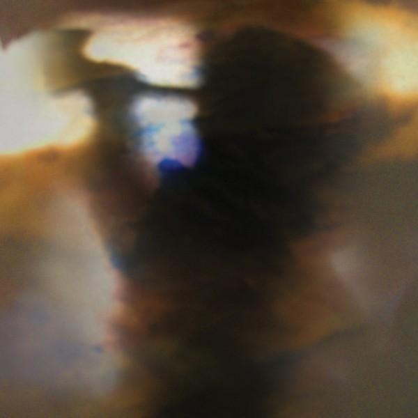 Portada de Álbum "Fall Be Kind", de Animal Collective