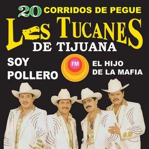 Portada de Álbum "20 Corridos de Pegue", de Los Tucanes de Tijuana