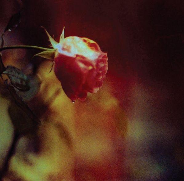 Portada de Sencillo/EP "Stretch The Truth B/W Green & Gold", de Pluralone