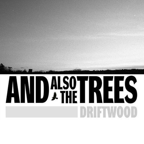 Album cover of "Driftwood" by And Also The Trees