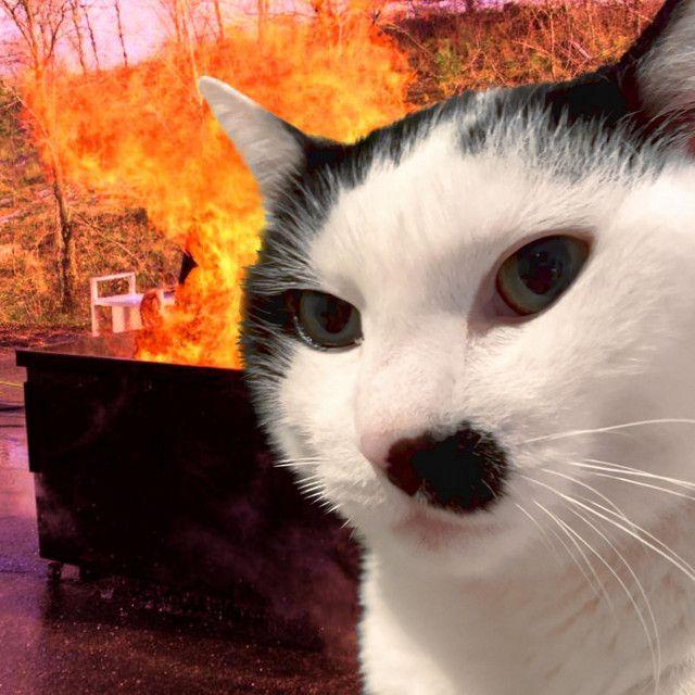 Portada de Sencillo/EP "boogercore", de Milk In The Microwave