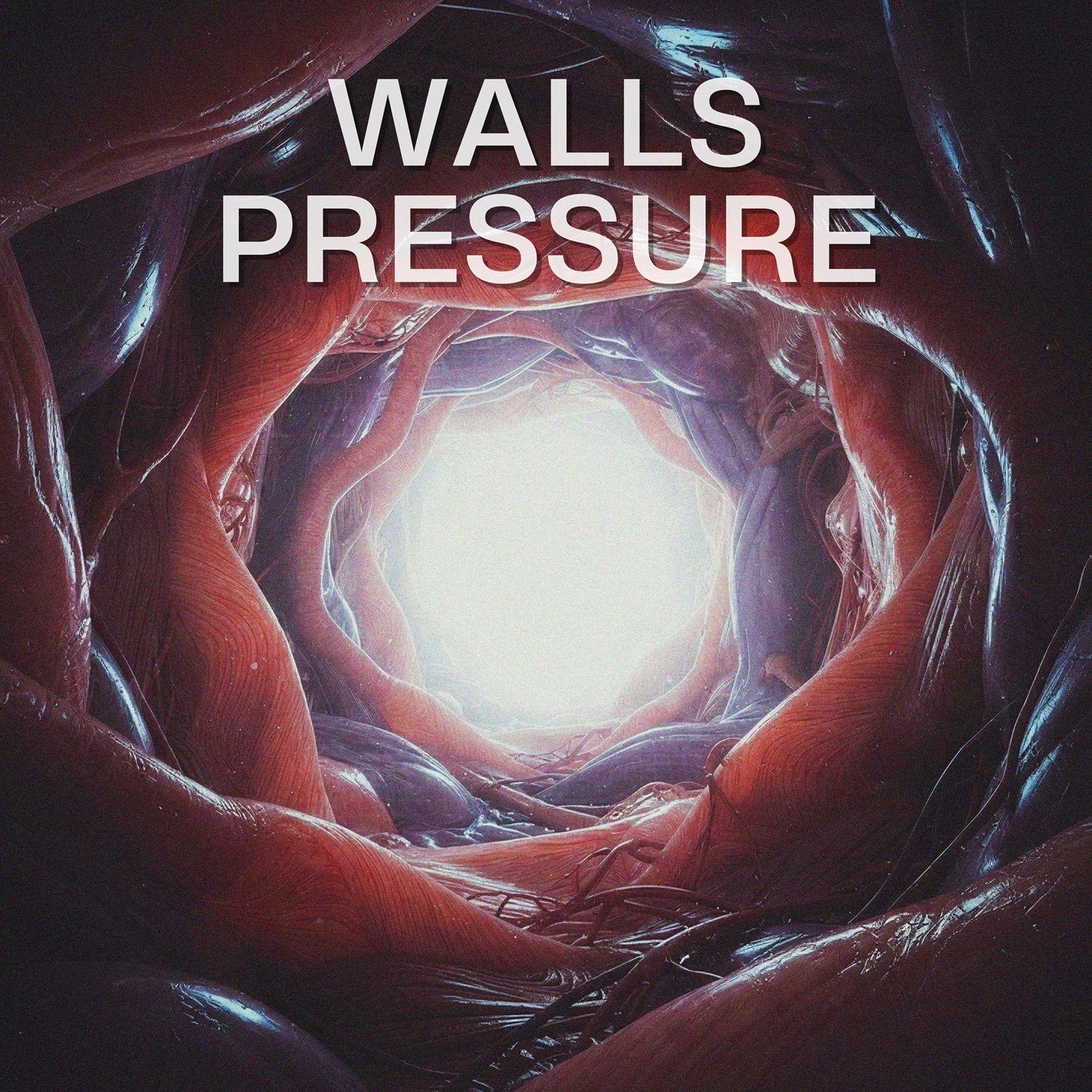 Portada de Sencillo/EP "Walls Pressure", de Rail Wilbers