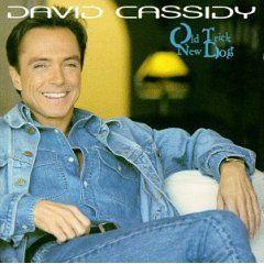 Capa do Álbum "Old Trick New Dog", de David Cassidy
