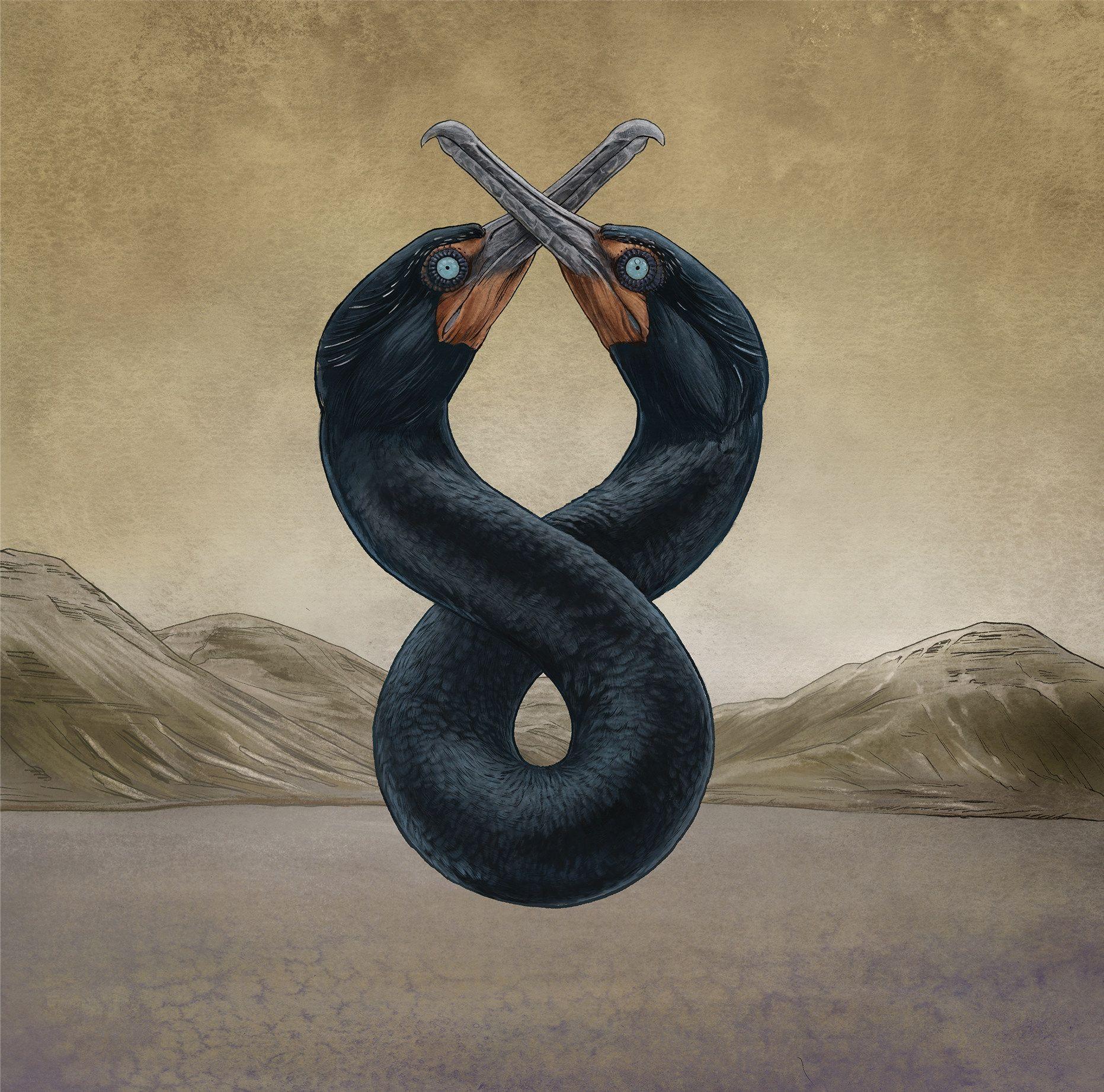 Capa do Álbum " The Cormorant II", de San Fermin