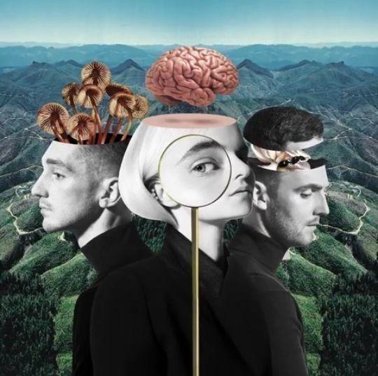 Portada de Álbum "What Is Love?", de Clean Bandit