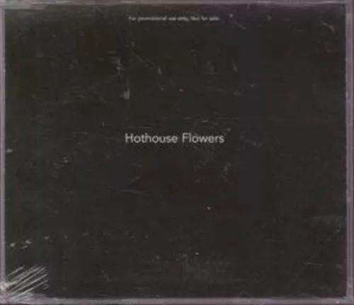 Capa do Álbum "Hothouse Flowers", de Hothouse Flowers