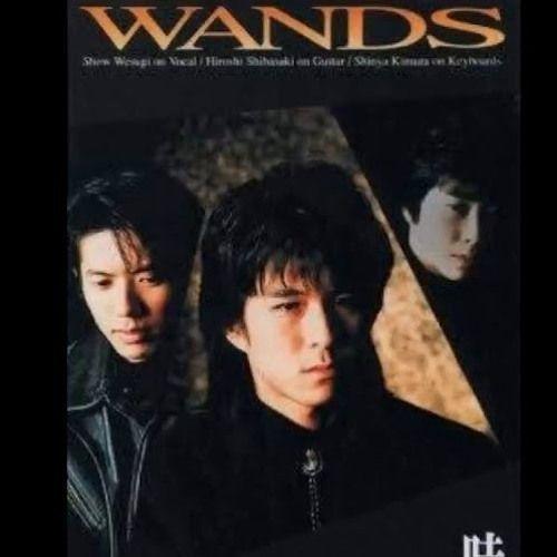 Portada de Sencillo/EP "WANDS – 時の扉 (Toki no Tobira)", de Wands