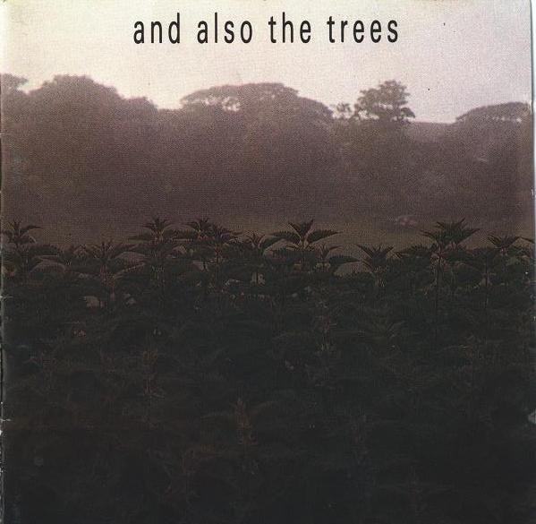 Album cover of "And Also The Trees" by And Also The Trees