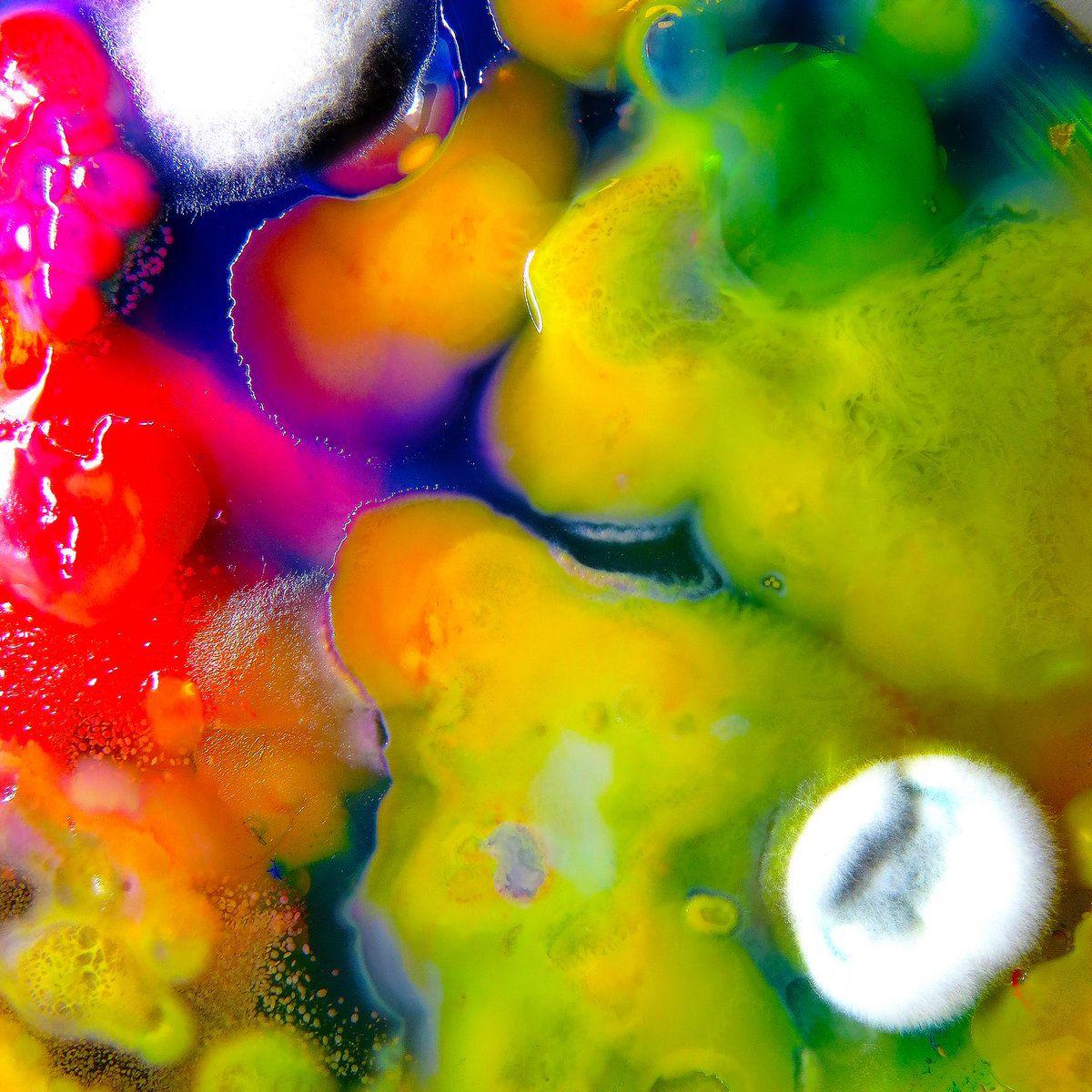 Portada de Álbum "Famously Alive", de Guerilla Toss