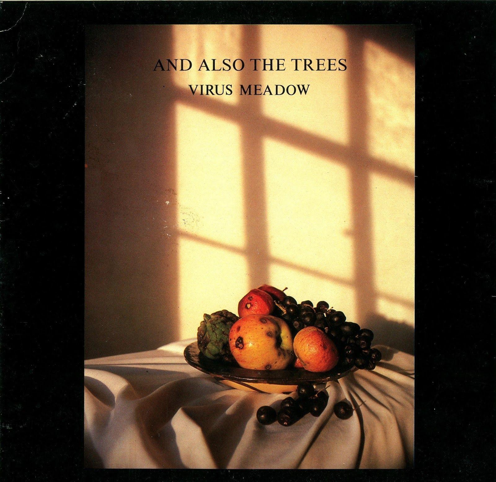 Album cover of "Virus Meadow" by And Also The Trees