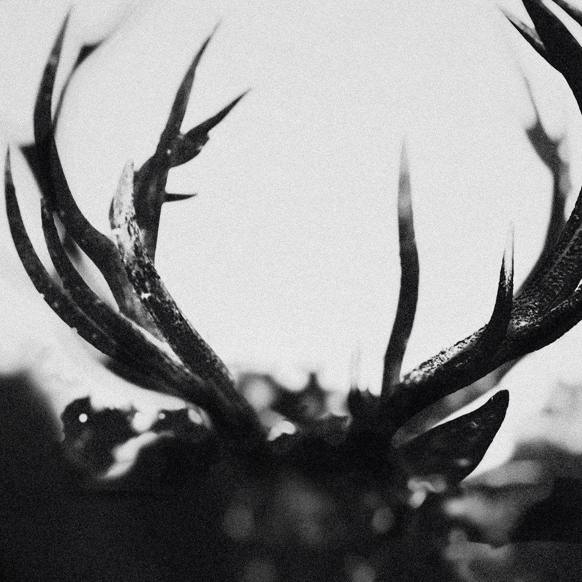 Portada de Álbum "Ihsahn", de Ihsahn