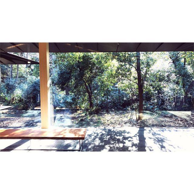 Capa do Single/EP "Rain (feat. 9smrk)", de Shiloh Dynasty