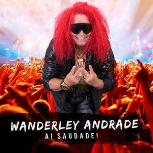 Portada de Álbum "Ai Saudade", de Wanderley Andrade