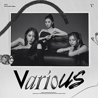 Capa do Single/EP "The 3rd Mini Album - 'VarioUS'", de VIVIZ