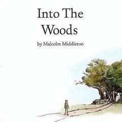 Portada de Álbum "Into The Woods", de Malcolm Middleton