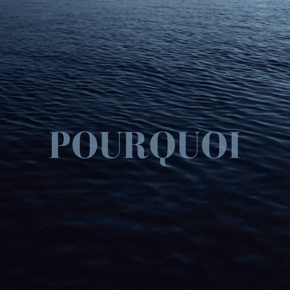 Portada de Sencillo/EP "Pourquoi", de Rail Wilbers