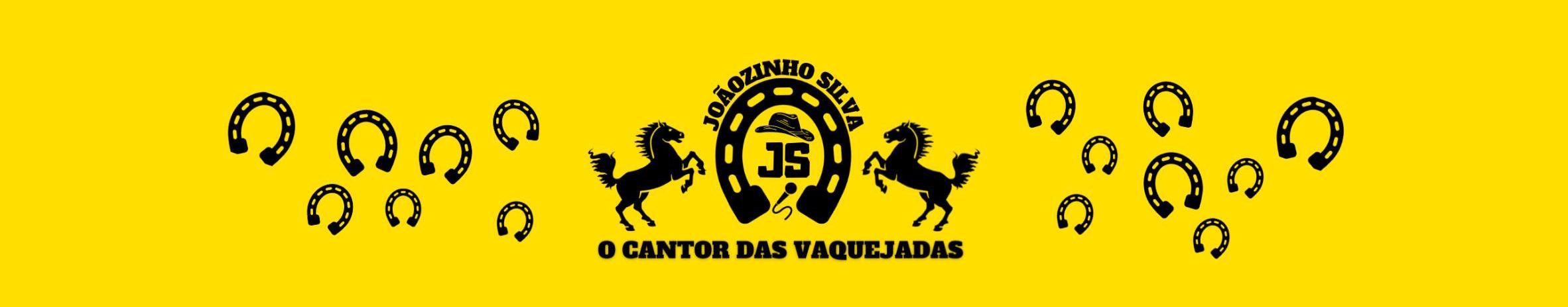 Imagem de capa de Joãozinho Silva