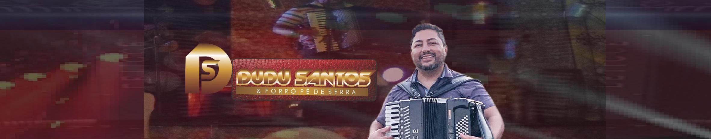 Imagem de capa de Dudu santos