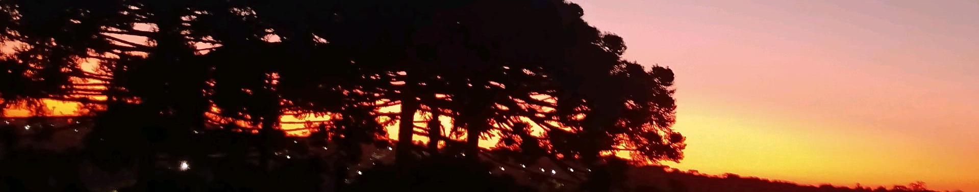 Imagem de capa de Irmão Davi