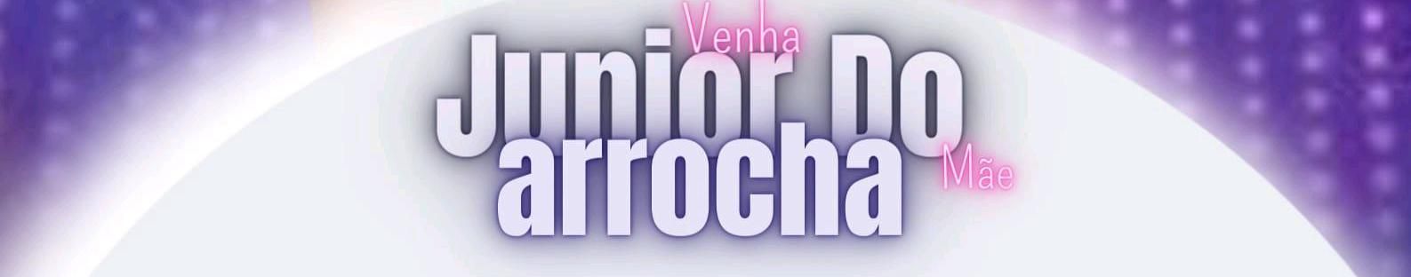 Imagem de capa de Junior do Arrocha