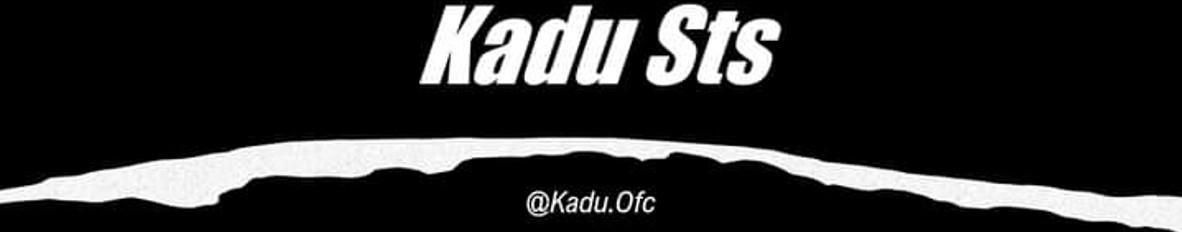 Imagem de capa de Kadu Sts