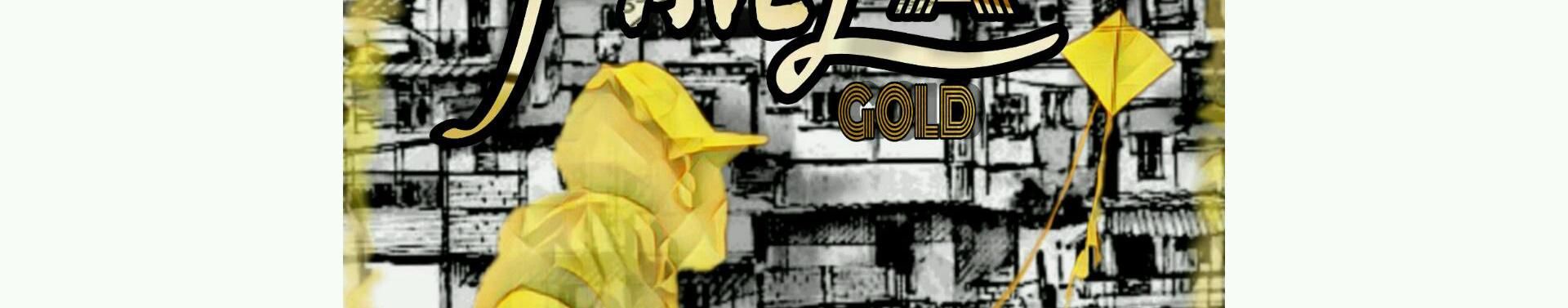 Imagem de capa de Favela Gold