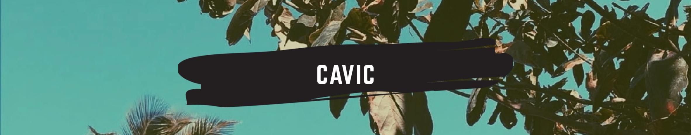 Imagem de capa de CAVIC