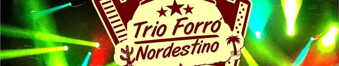 Imagem de capa de Trio Forró Nordestino