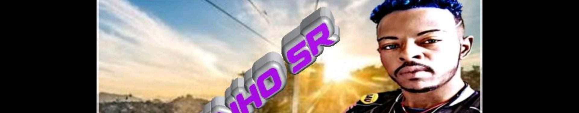Imagem de capa de MC Evinho Sr