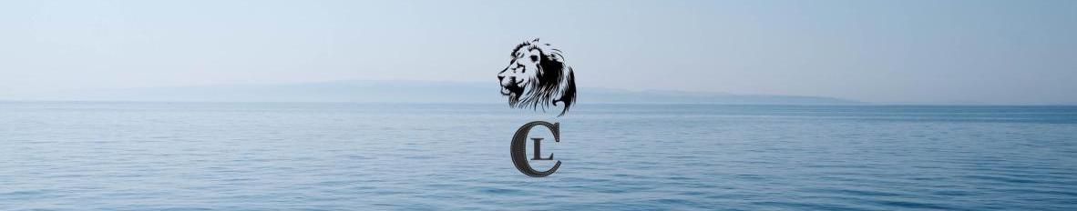 Imagem de capa de Chiquinho Leão