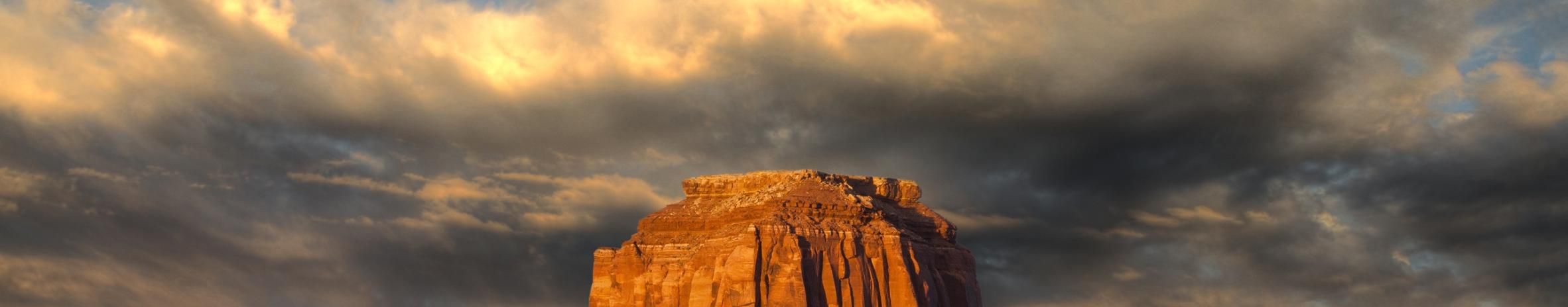 Imagem de capa de Cacco