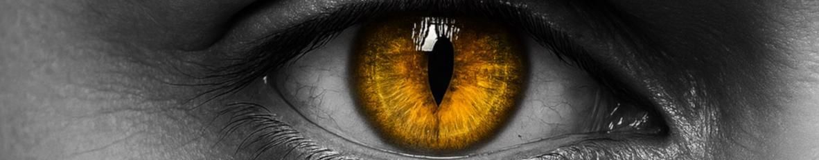 Imagem de capa de 7ooxic