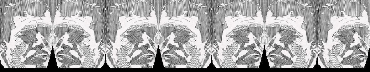 Imagem de capa de Nilton Santos