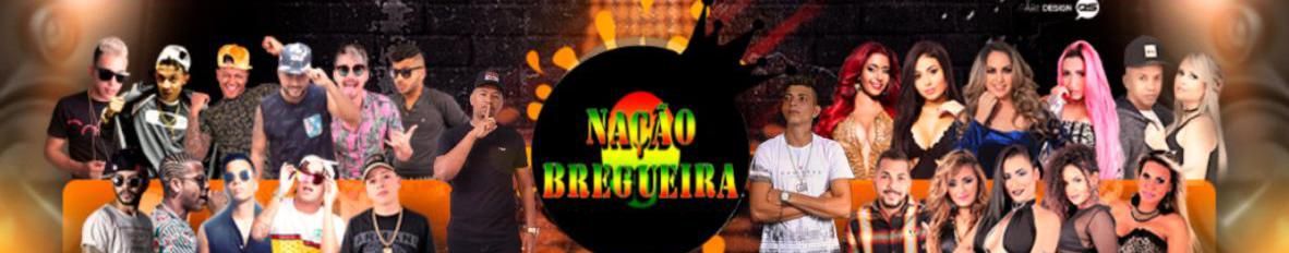 Imagem de capa de Nação Bregueira