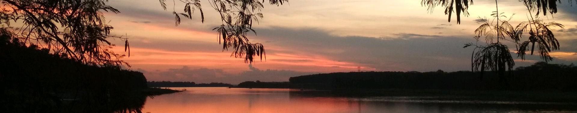 Imagem de capa de Silvéris