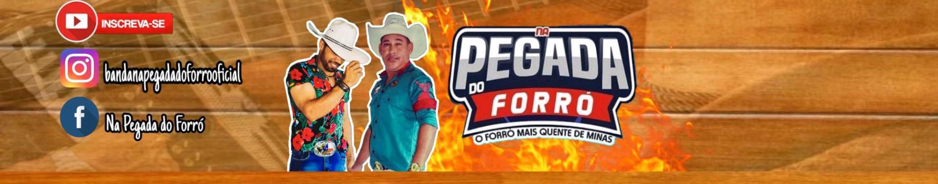 Imagem de capa de Na Pegada Do Forró