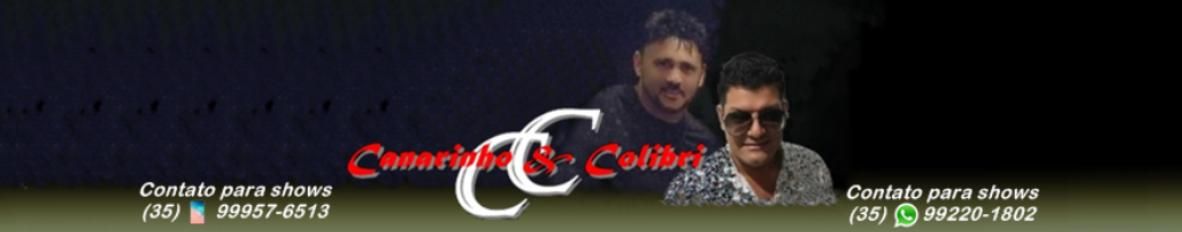 Imagem de capa de Canarinho e Colibri