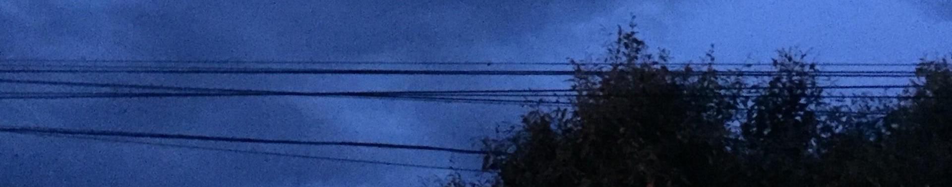 Imagem de capa de Enzo