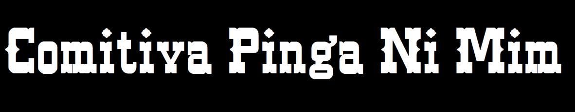 Imagem de capa de Comitiva Pinga Ni Mim
