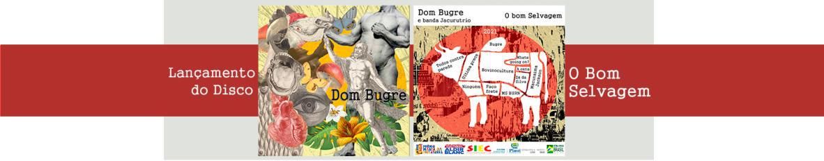 Imagem de capa de Dom Bugre