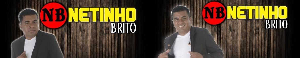 Imagem de capa de forro netinho brito