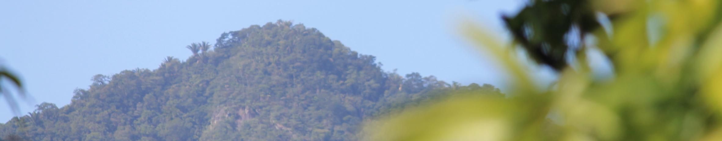 Imagem de capa de Tal Castro