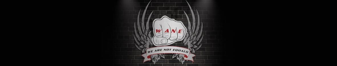 Imagem de capa de WANE