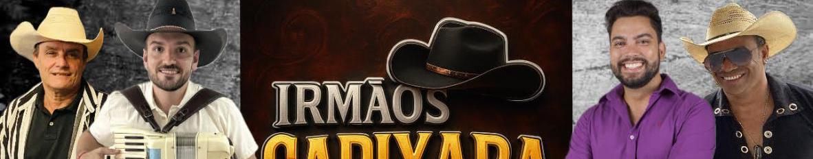 Imagem de capa de Irmãos Capixaba