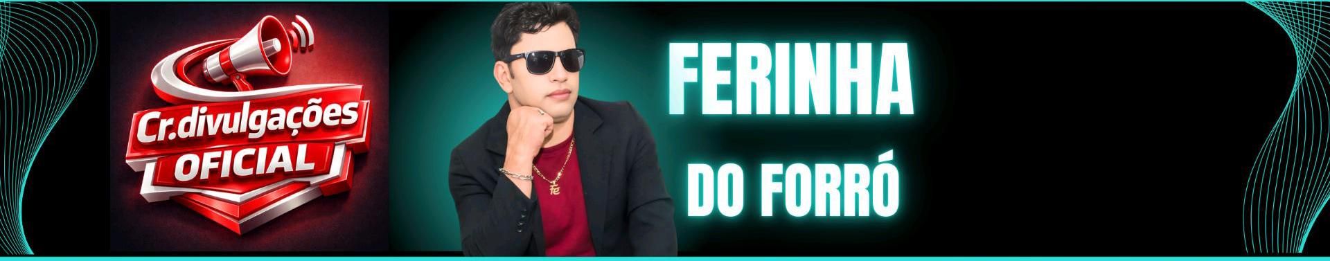 Imagem de capa de Ferinha do Forró