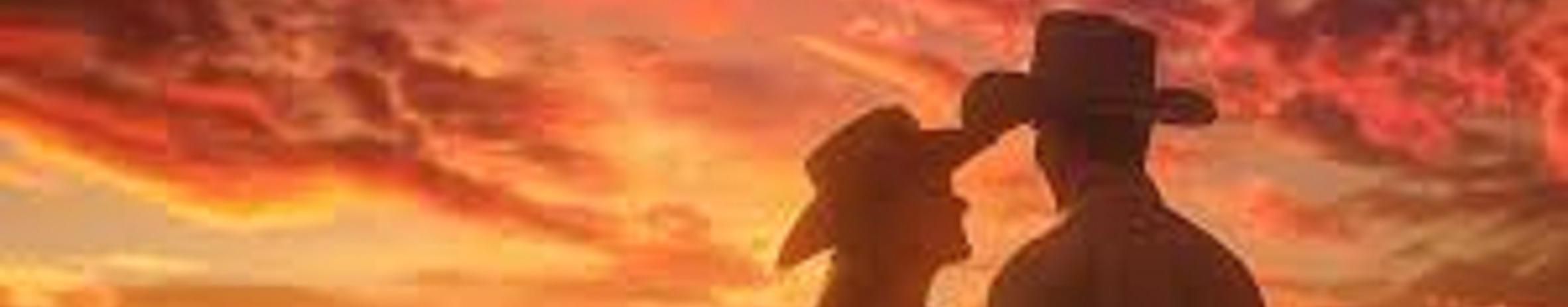 Imagem de capa de Paul Fox Cowboy