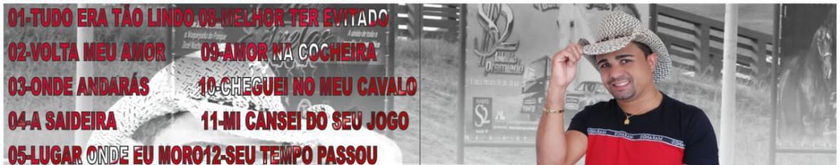 Imagem de capa de Paixão Da Vaquejada Official